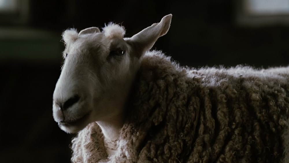 シャーロットのおくりものの画像