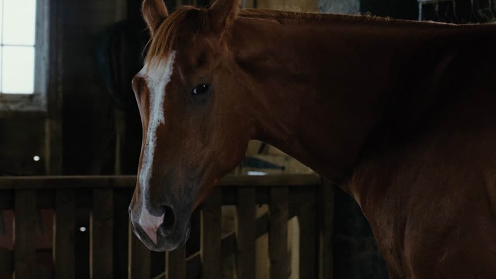 シャーロットのおくりものの画像