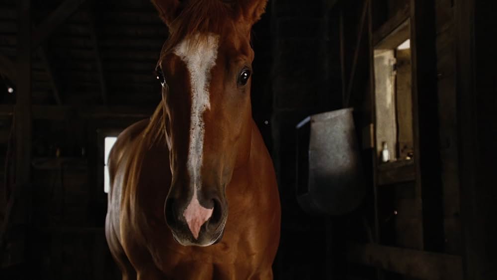 シャーロットのおくりものの画像