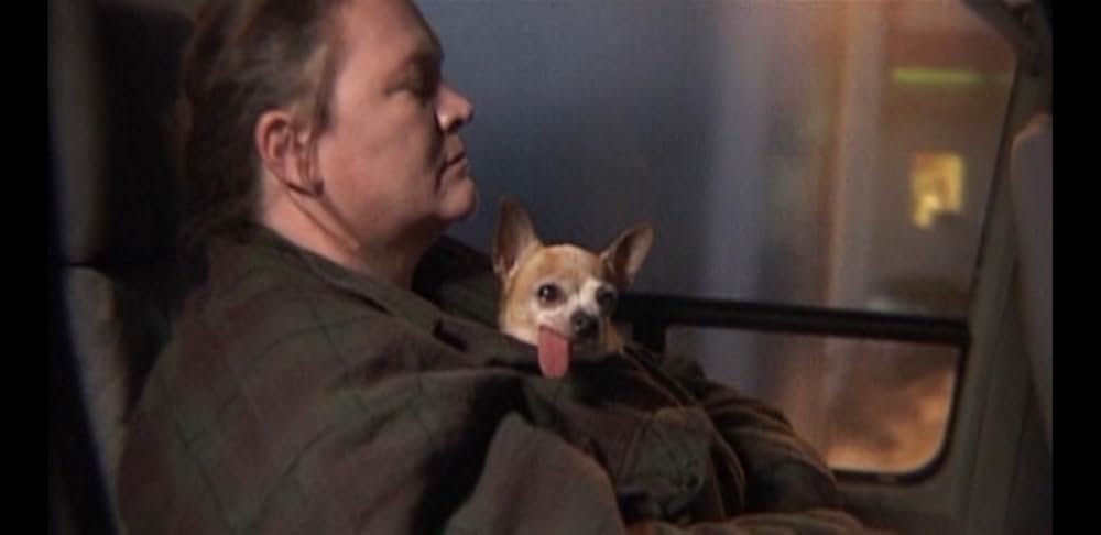 Down to the Bone（原題）の画像