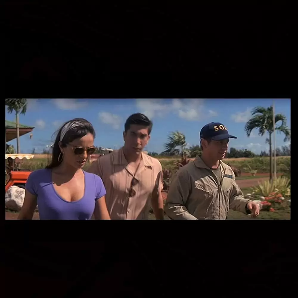 「6デイズ／7ナイツ」デビッド・シュワイマー & ジャクリーン・オブラドースの画像