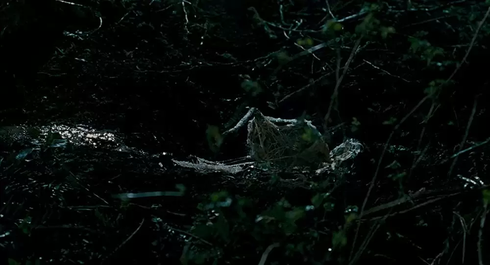 スリザーの画像