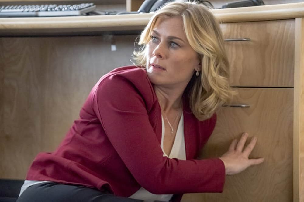 パティシエ探偵ハンナ 〜チョコチップクッキー殺人事件〜の画像