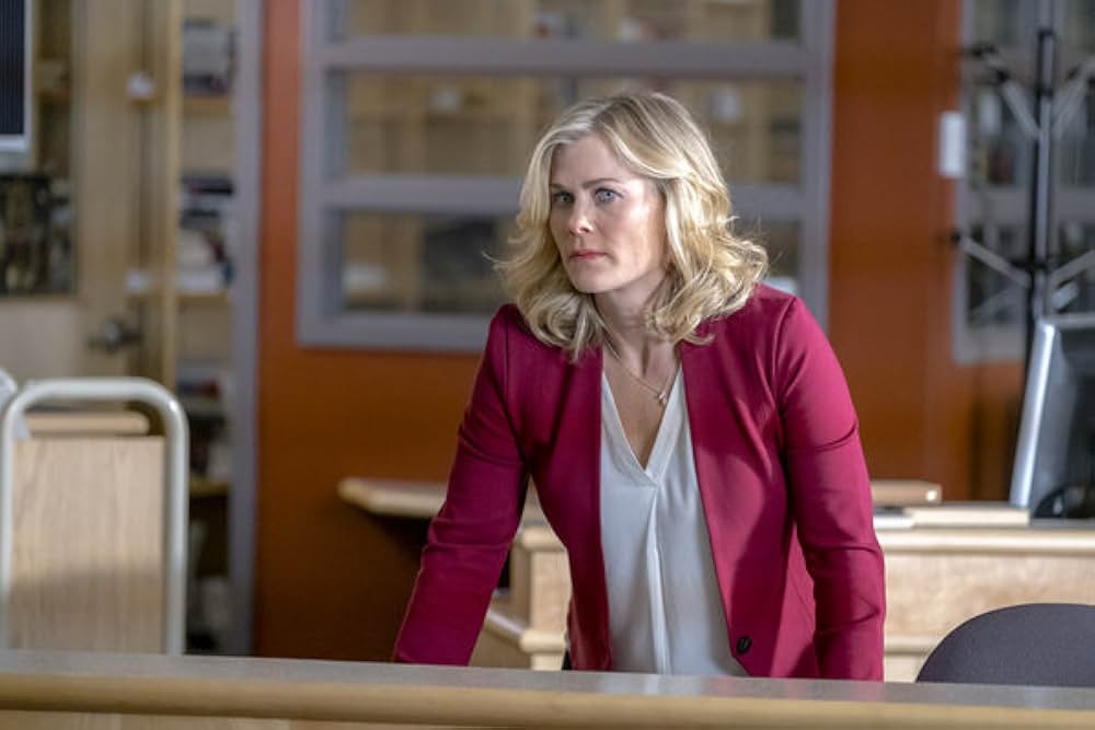 パティシエ探偵ハンナ 〜チョコチップクッキー殺人事件〜の画像