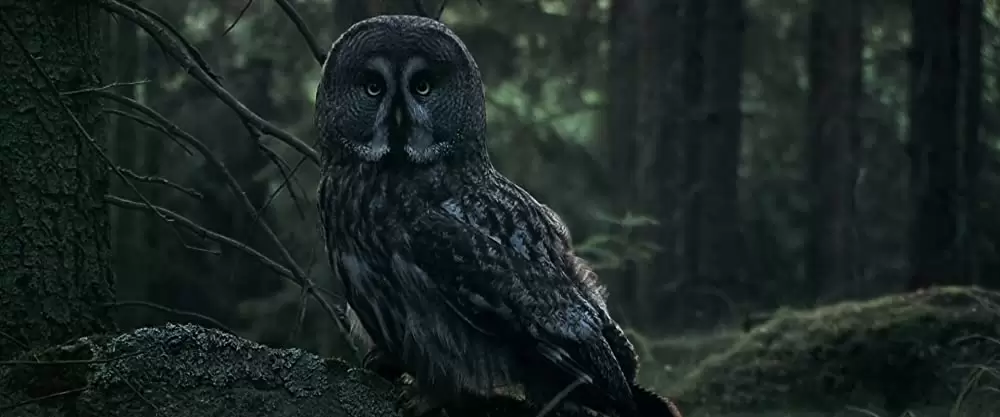 バーバラと心の巨人の画像