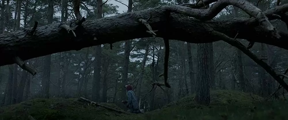 バーバラと心の巨人の画像