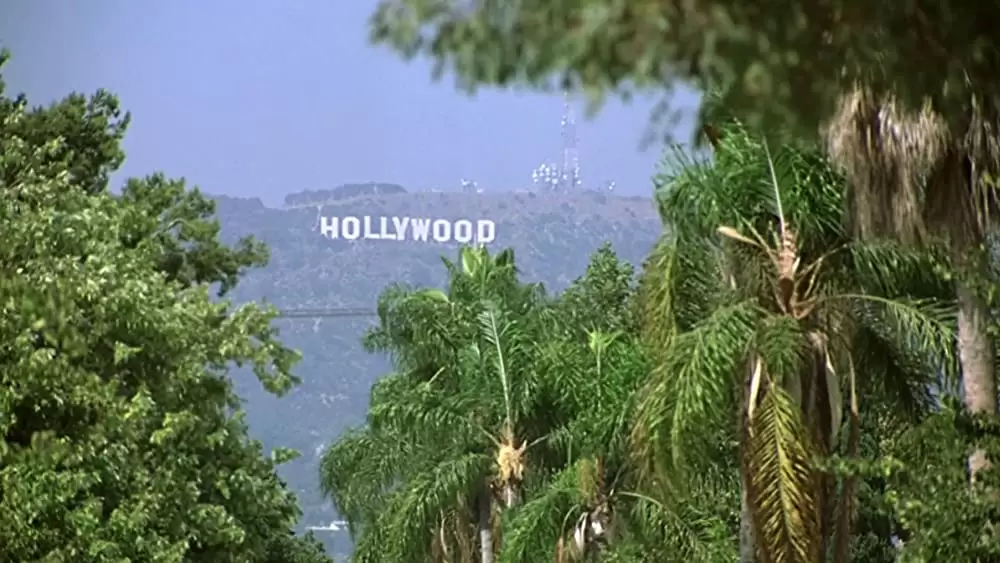 チャイルド・プレイ／チャッキーの種の画像