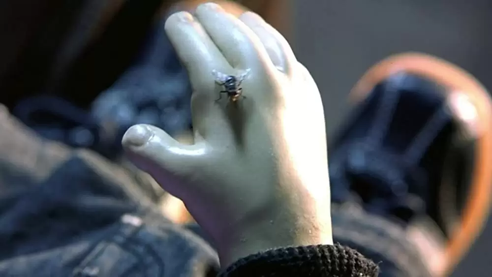 チャイルド・プレイ／チャッキーの種の画像