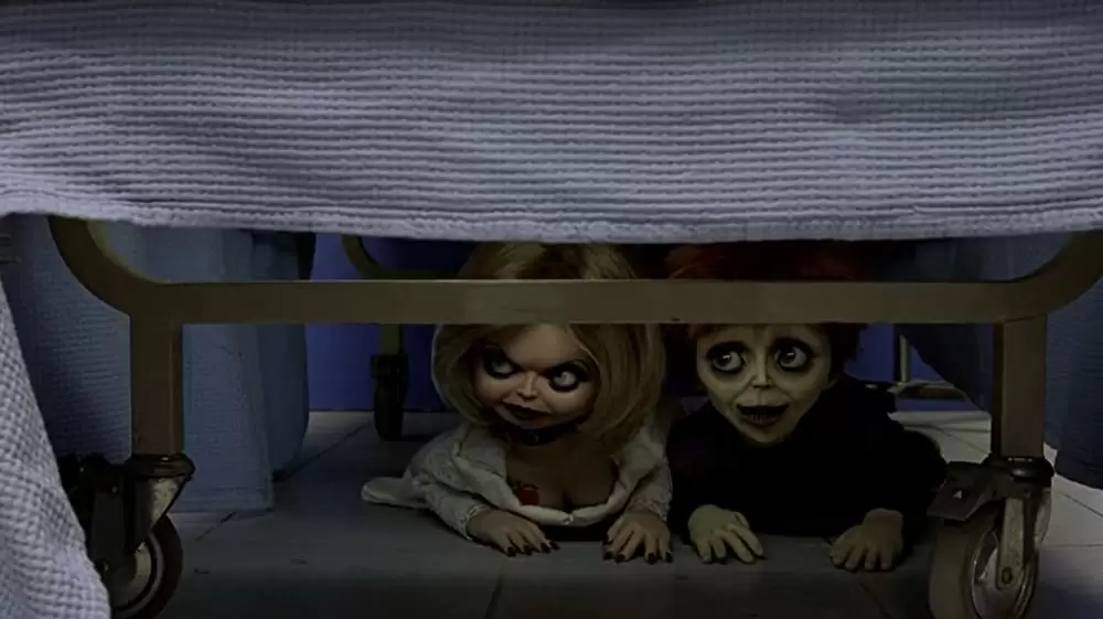 チャイルド・プレイ／チャッキーの種の画像