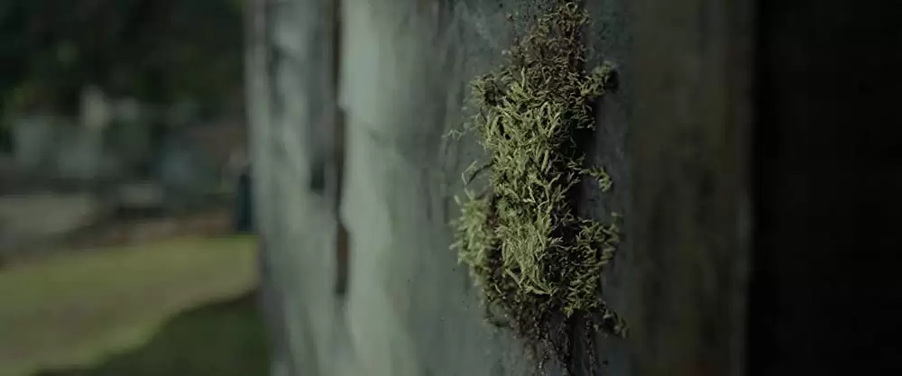 「アポストル 復讐の掟」の画像