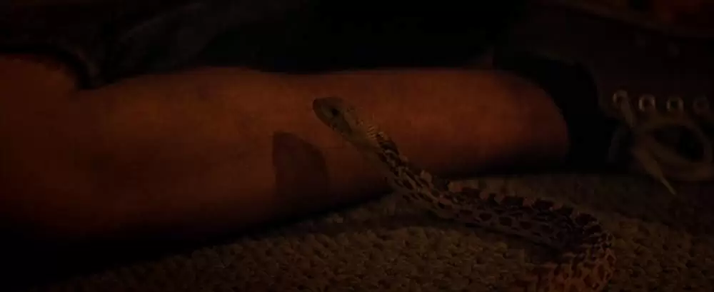 キングス・オブ・サマーの画像