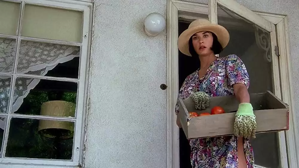 幸福の条件の画像