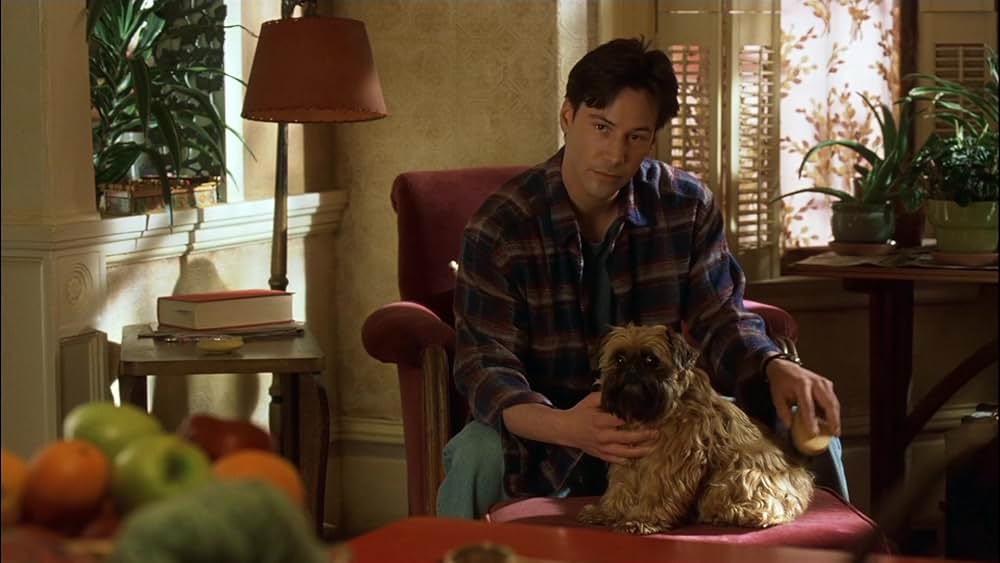 スウィート・ノベンバーの画像