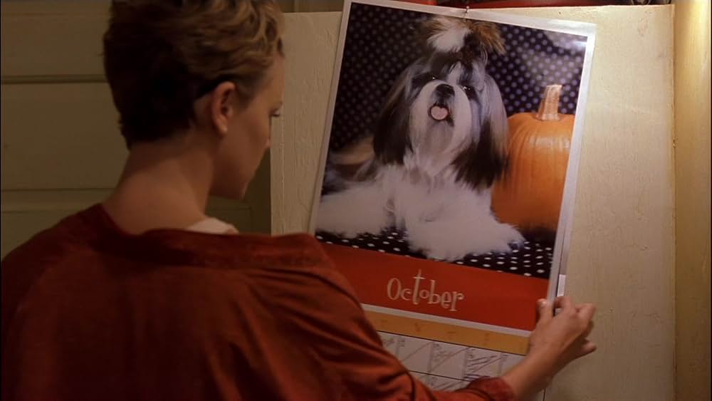 スウィート・ノベンバーの画像