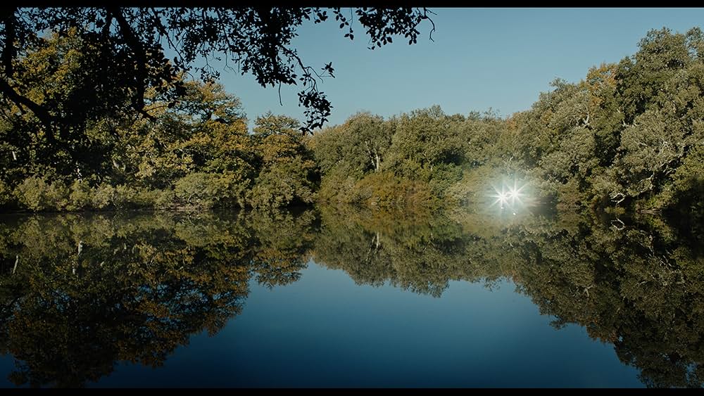 Tlamess（原題）の画像