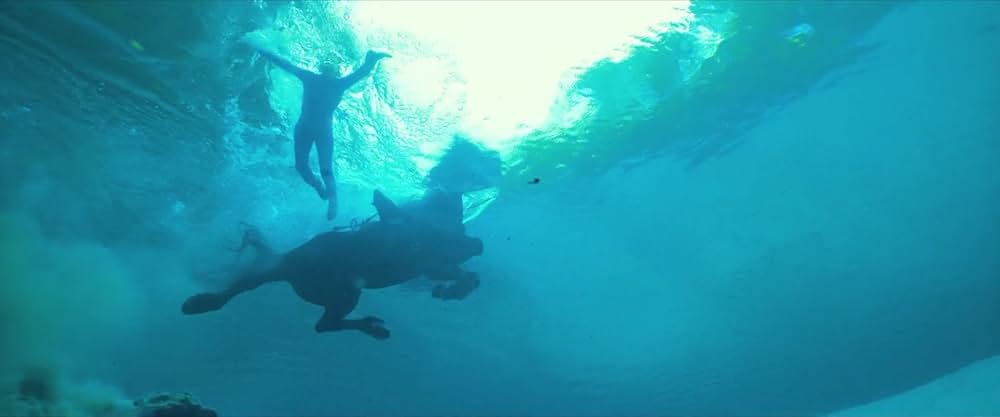 アルビオンの世界の画像