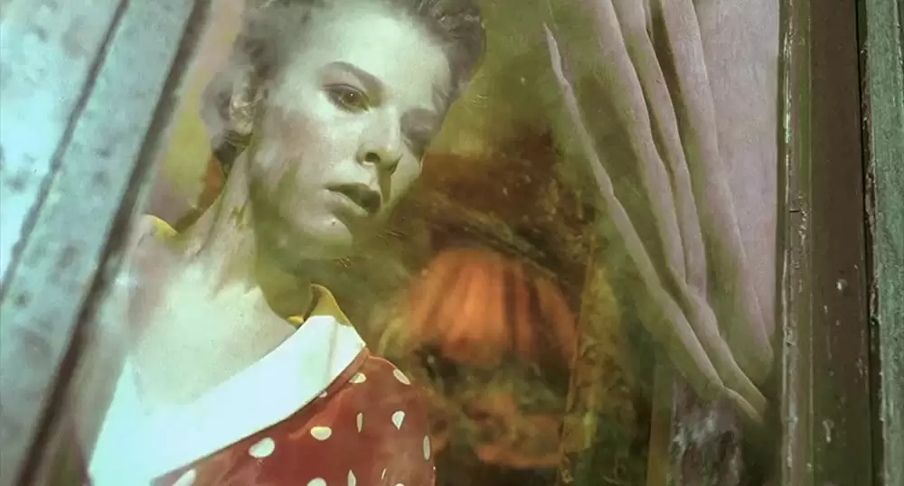 「デリカテッセン」カリン・ビアールの画像