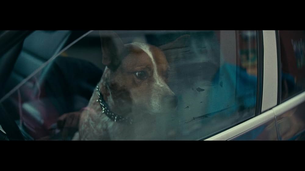 Locked（原題）の画像