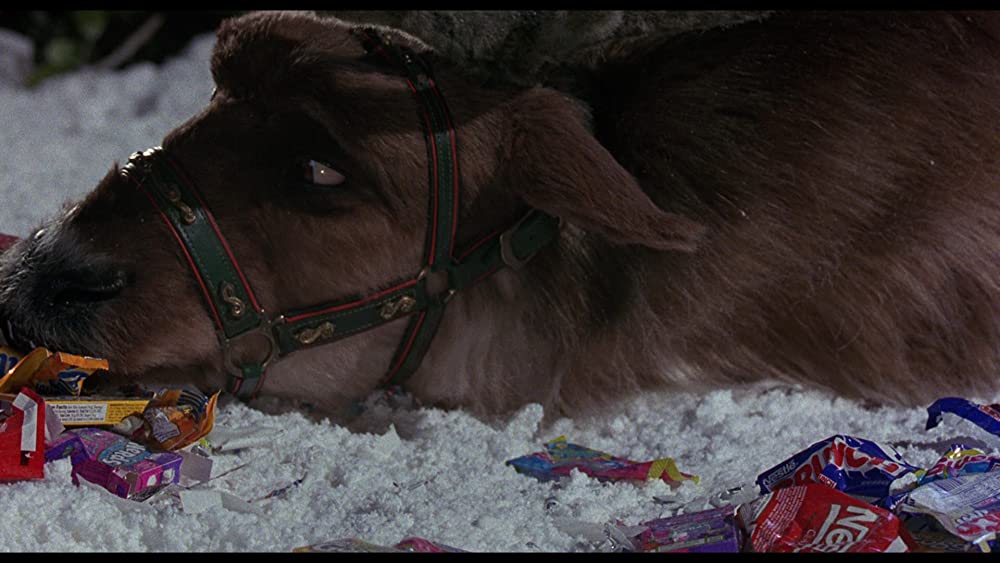 ラマになった王様の画像