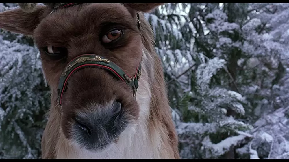 「サンタクロース・リターンズ！ クリスマス危機一髪」Bob Bergenの画像