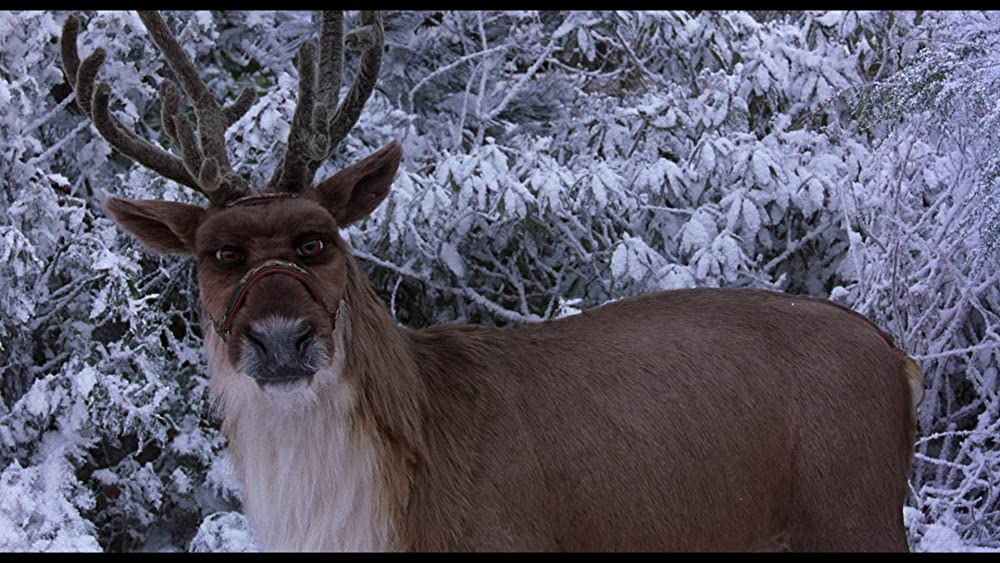 ウォーリーの画像
