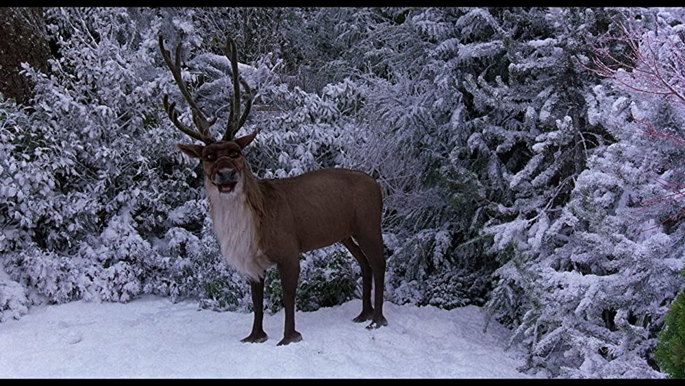 ターザンの画像
