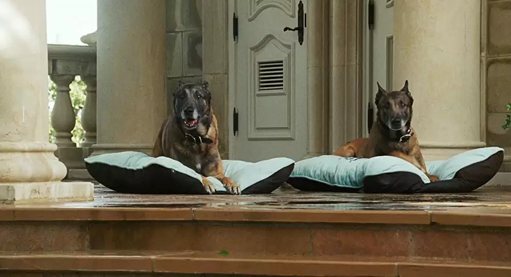 イースターラビットのキャンディ工場の画像