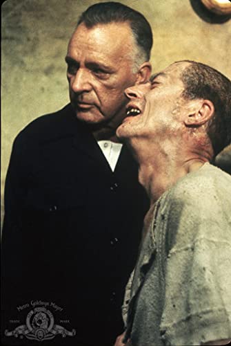1984の画像