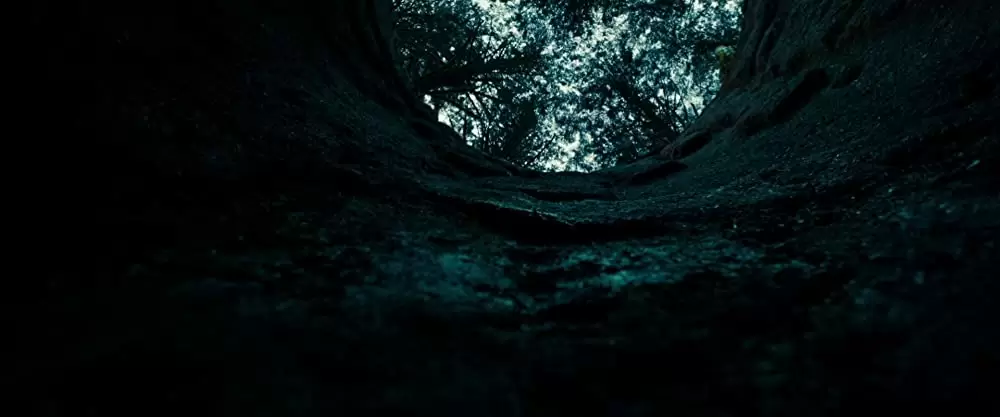 ファインド・アウトの画像