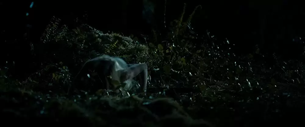 ファインド・アウトの画像