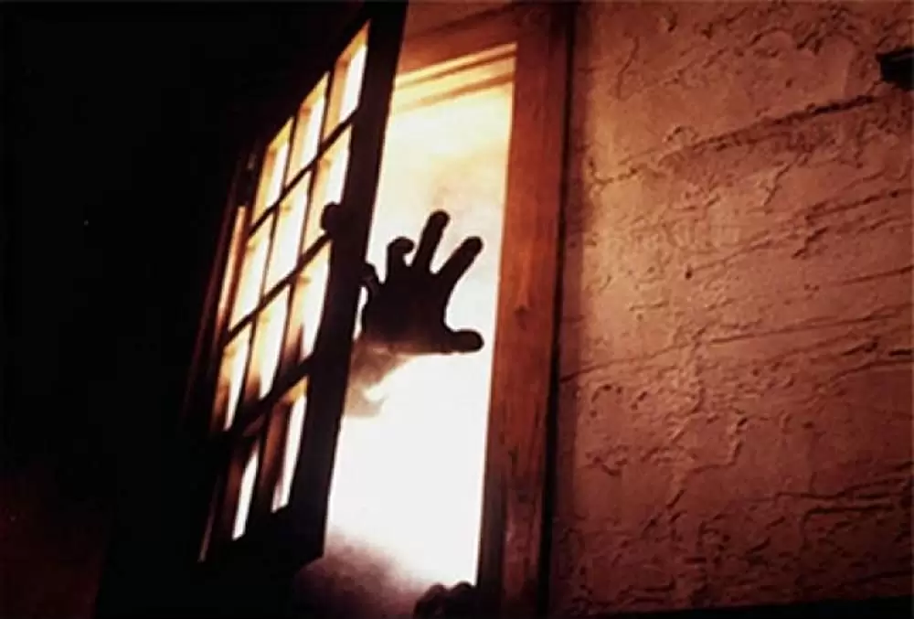 ザ・フォッグの画像