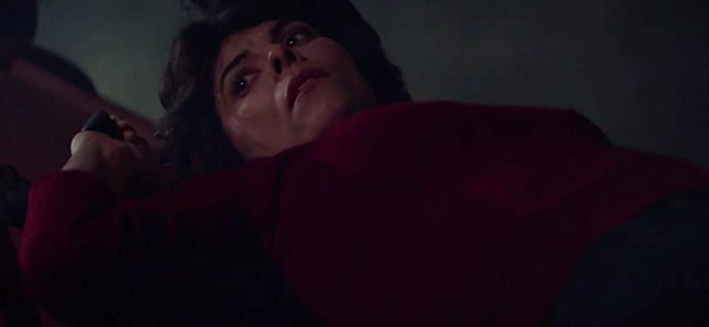 ザ・フォッグの画像