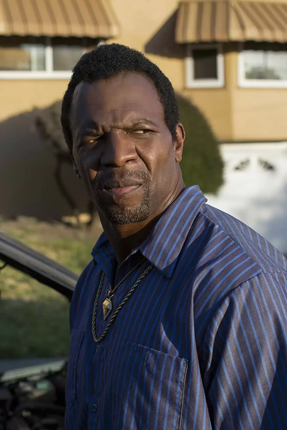 ホワイト・ボイスの画像