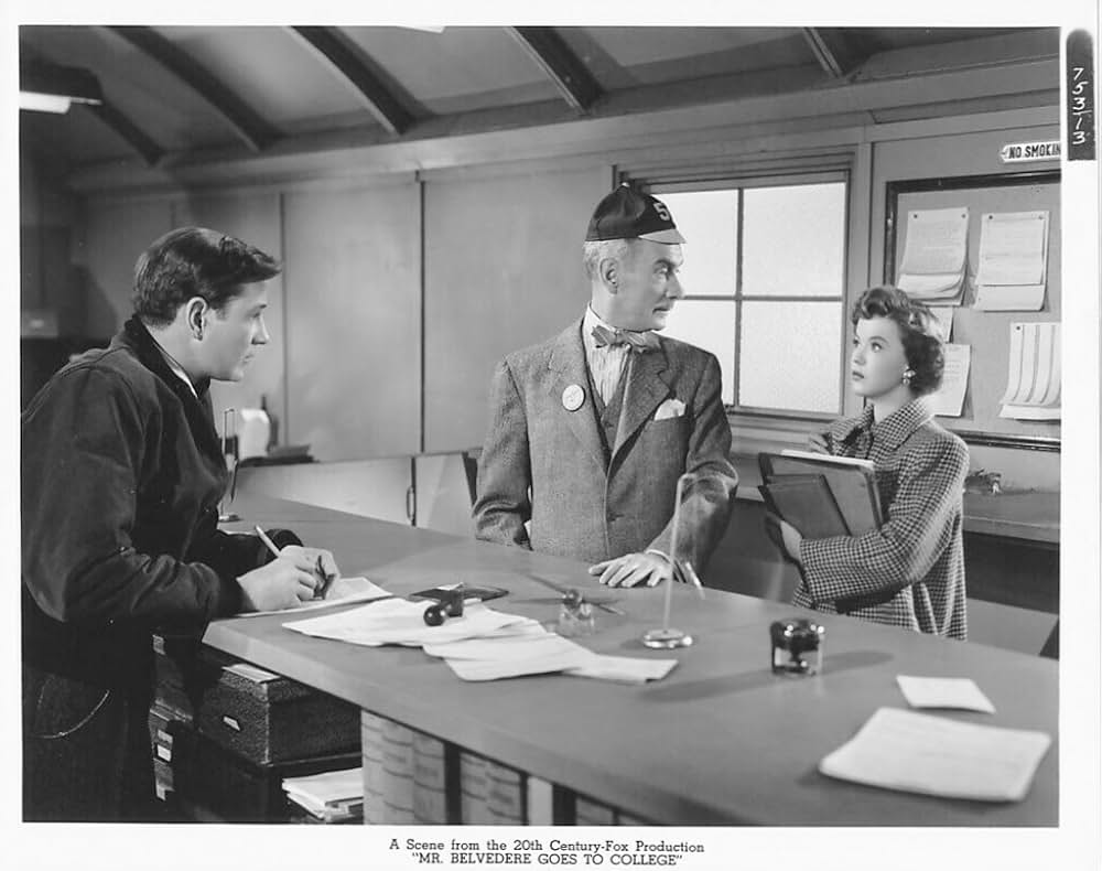 我輩は新入生の画像