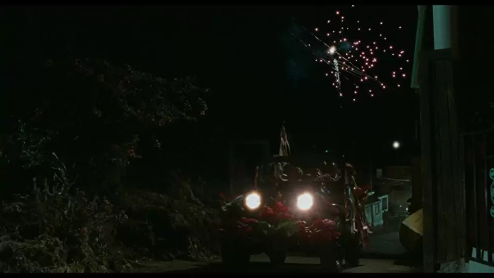 ラム・ダイアリーの画像