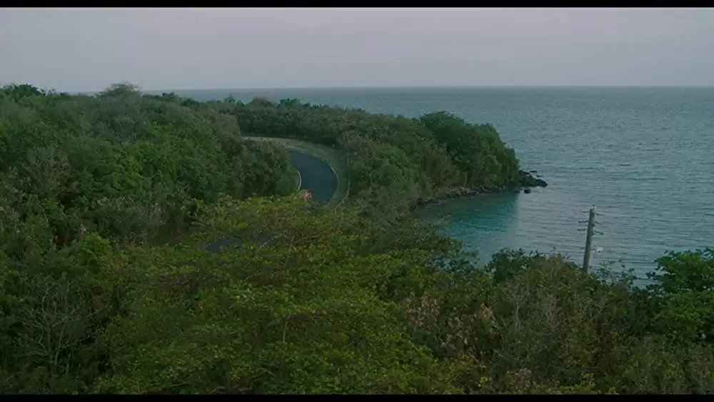 ラム・ダイアリーの画像