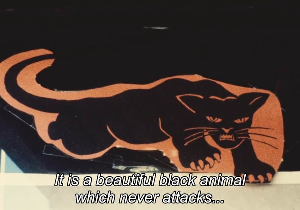 ブラックパンサーズの画像