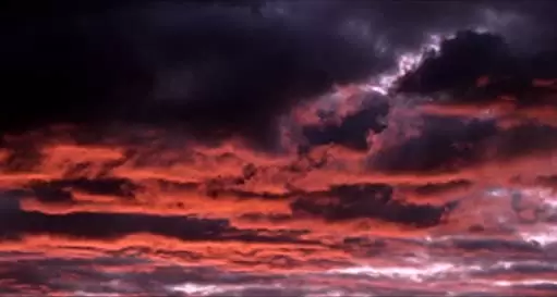 マイ・マザーの画像