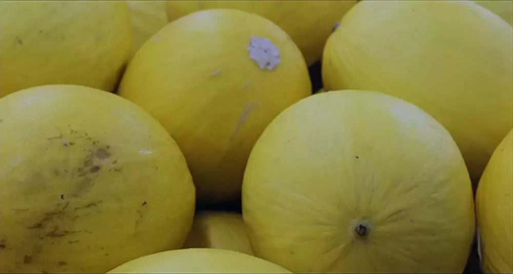 マイ・マザーの画像