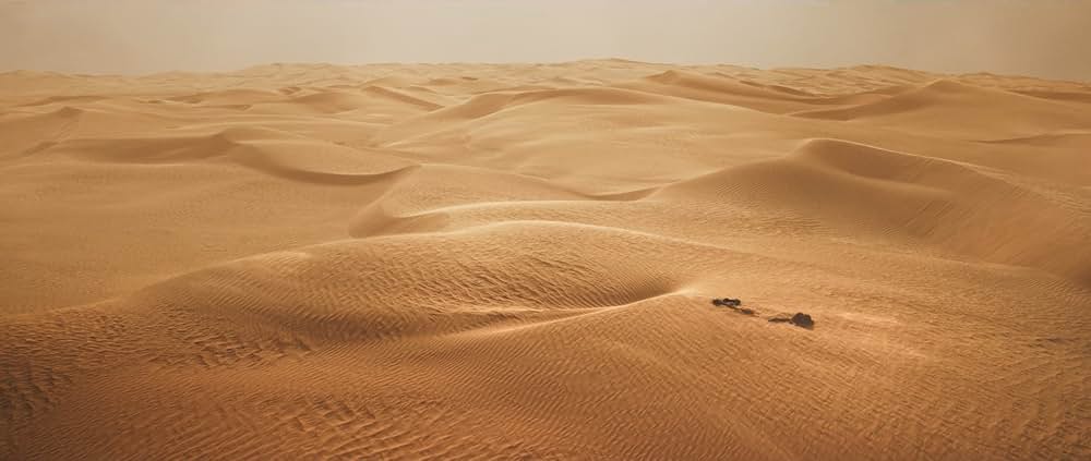 The Goat Life（原題）の画像