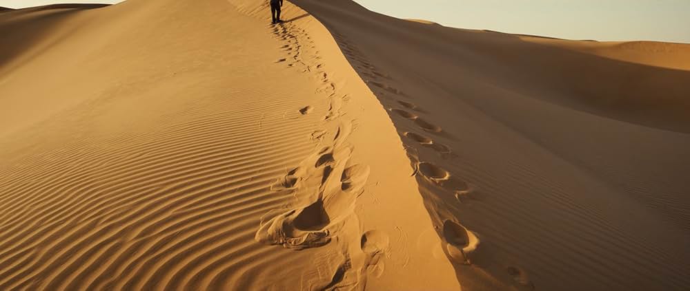 The Goat Life（原題）の画像