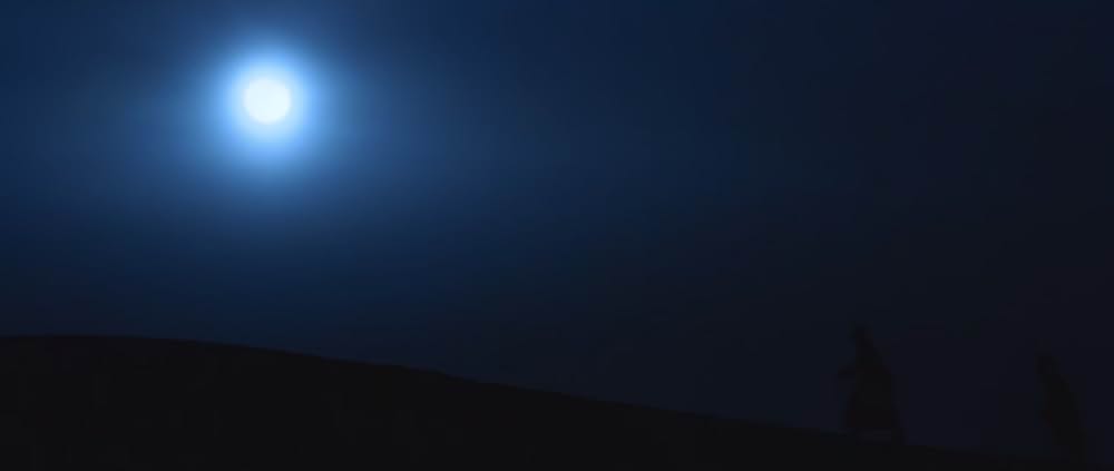 The Goat Life（原題）の画像