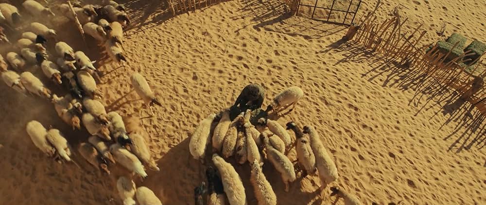 The Goat Life（原題）の画像