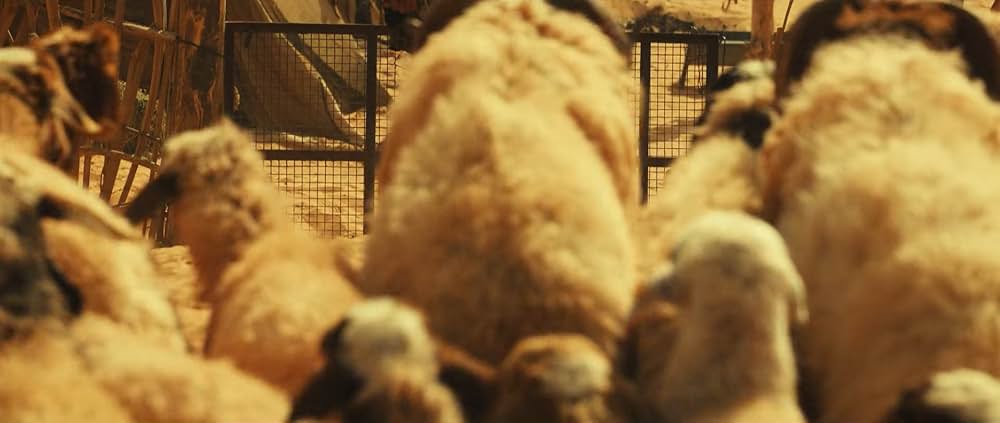 「The Goat Life（原題）」の画像