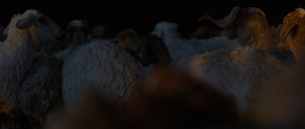 The Goat Life（原題）の画像