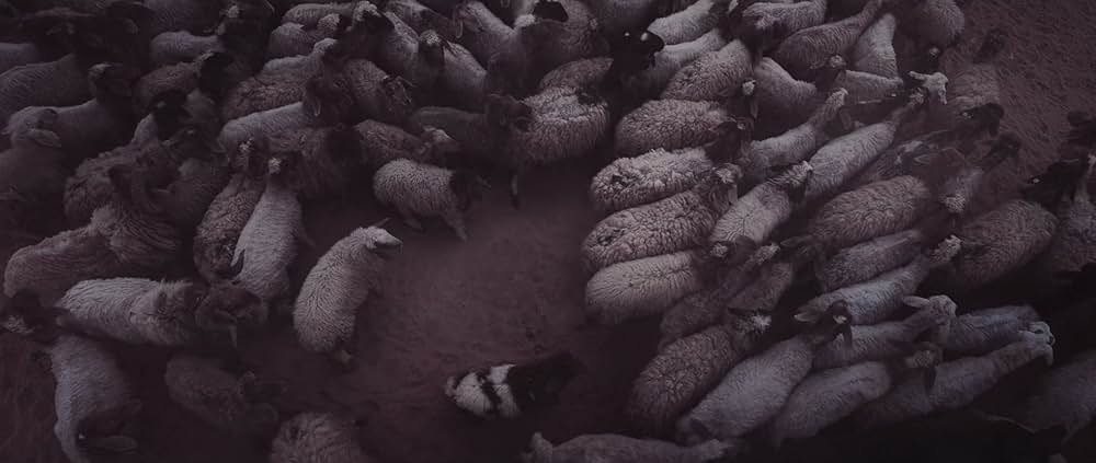The Goat Life（原題）の写真