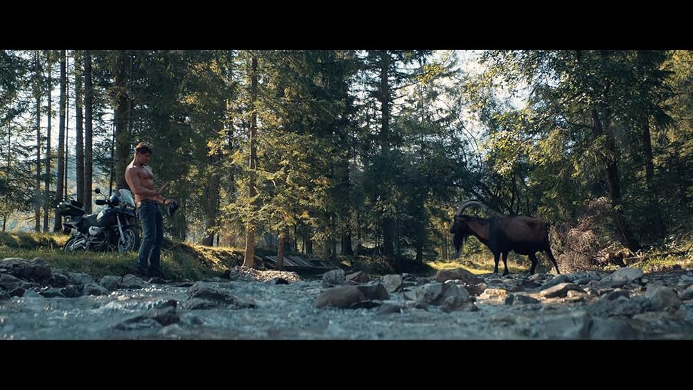 ジャジャ馬ならしの画像