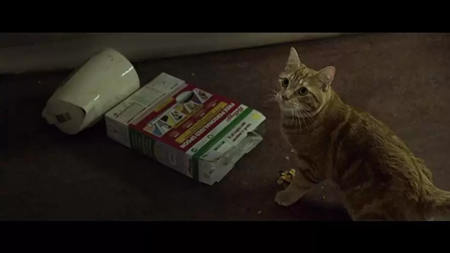 ボブという名の猫 幸せのハイタッチの画像