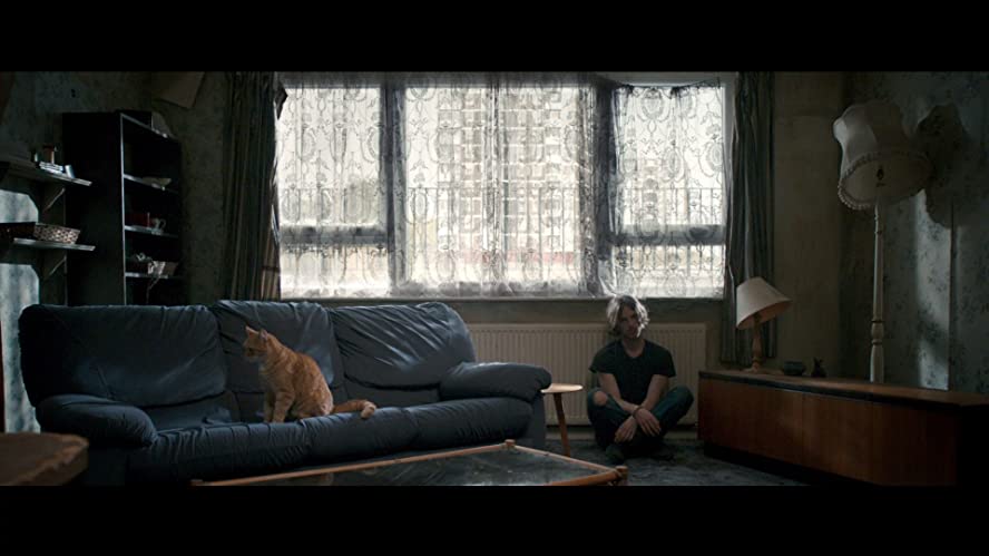 ボブという名の猫 幸せのハイタッチの画像