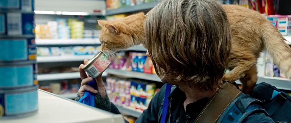 ボブという名の猫 幸せのハイタッチの画像